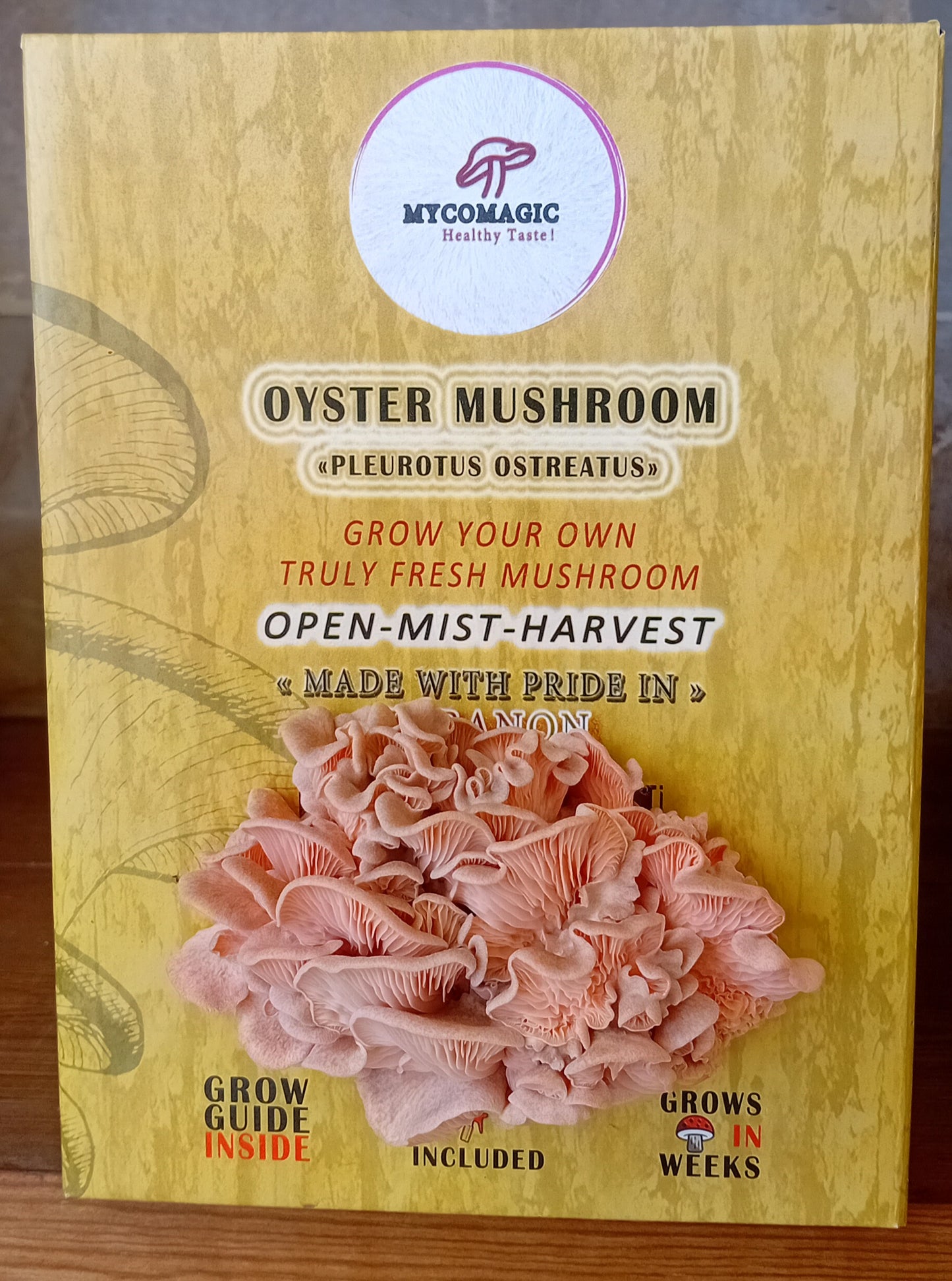 Pink Oyster Mushroom Grow Kit