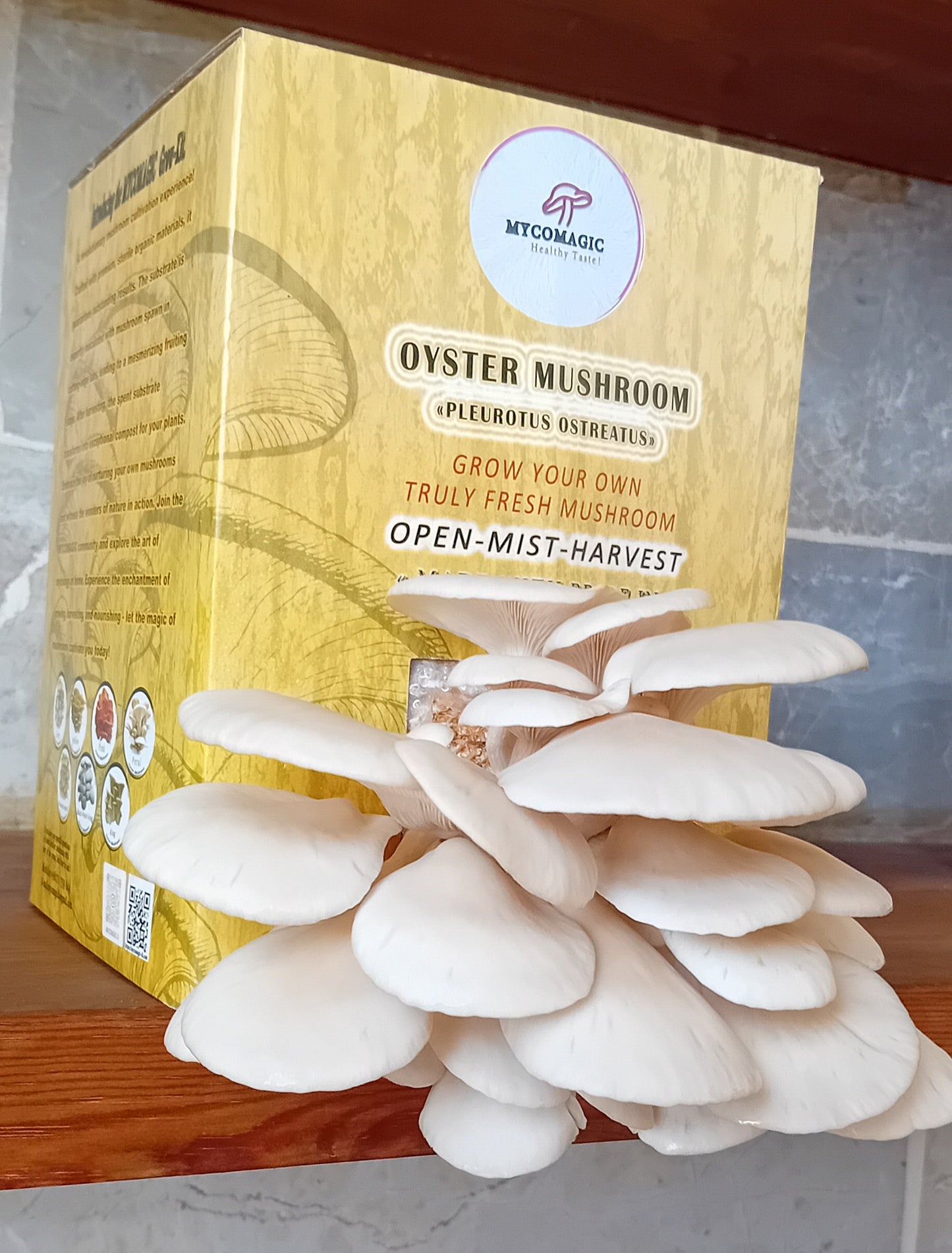 Princess Pearl Oyster Mushroom Grow Kit