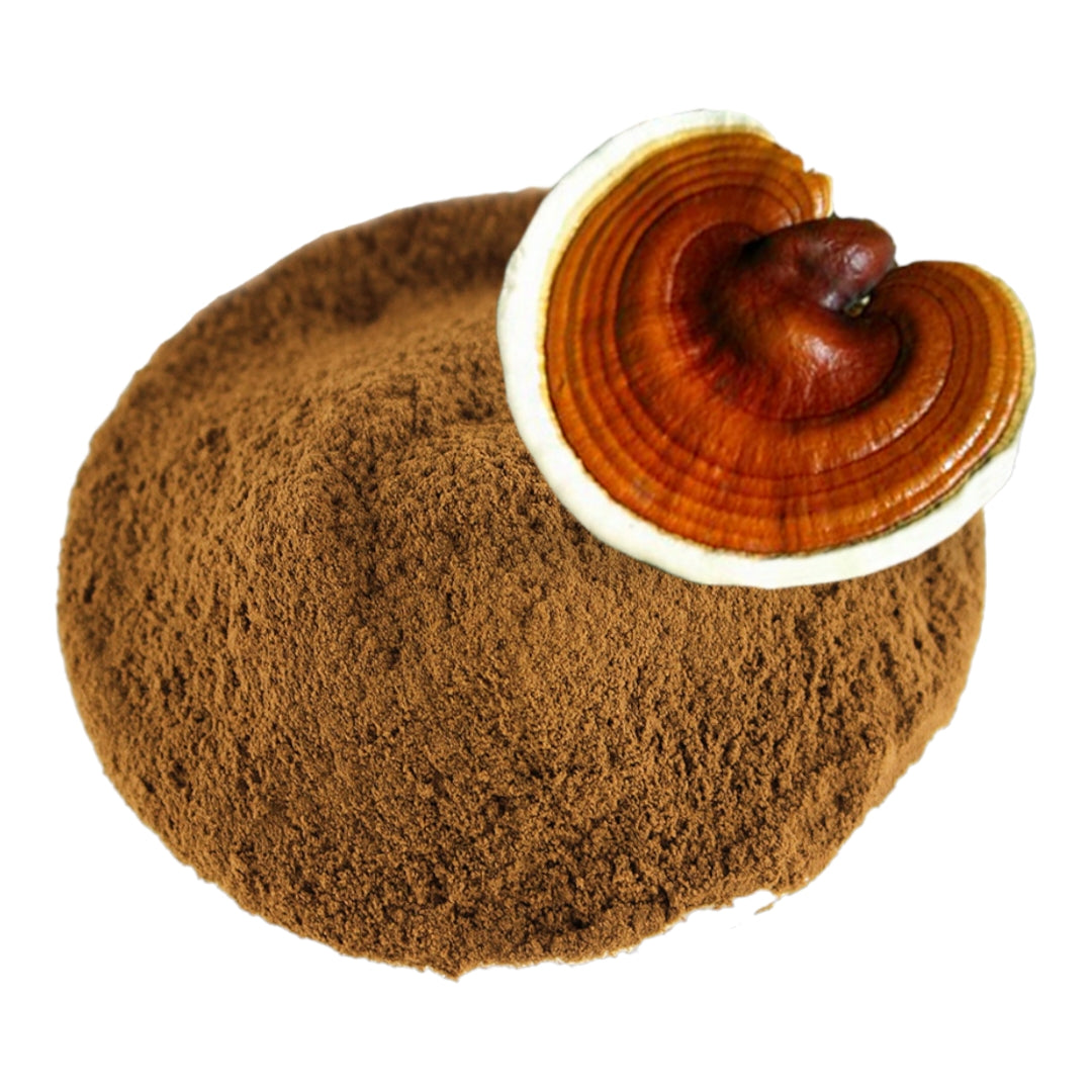 Reishi