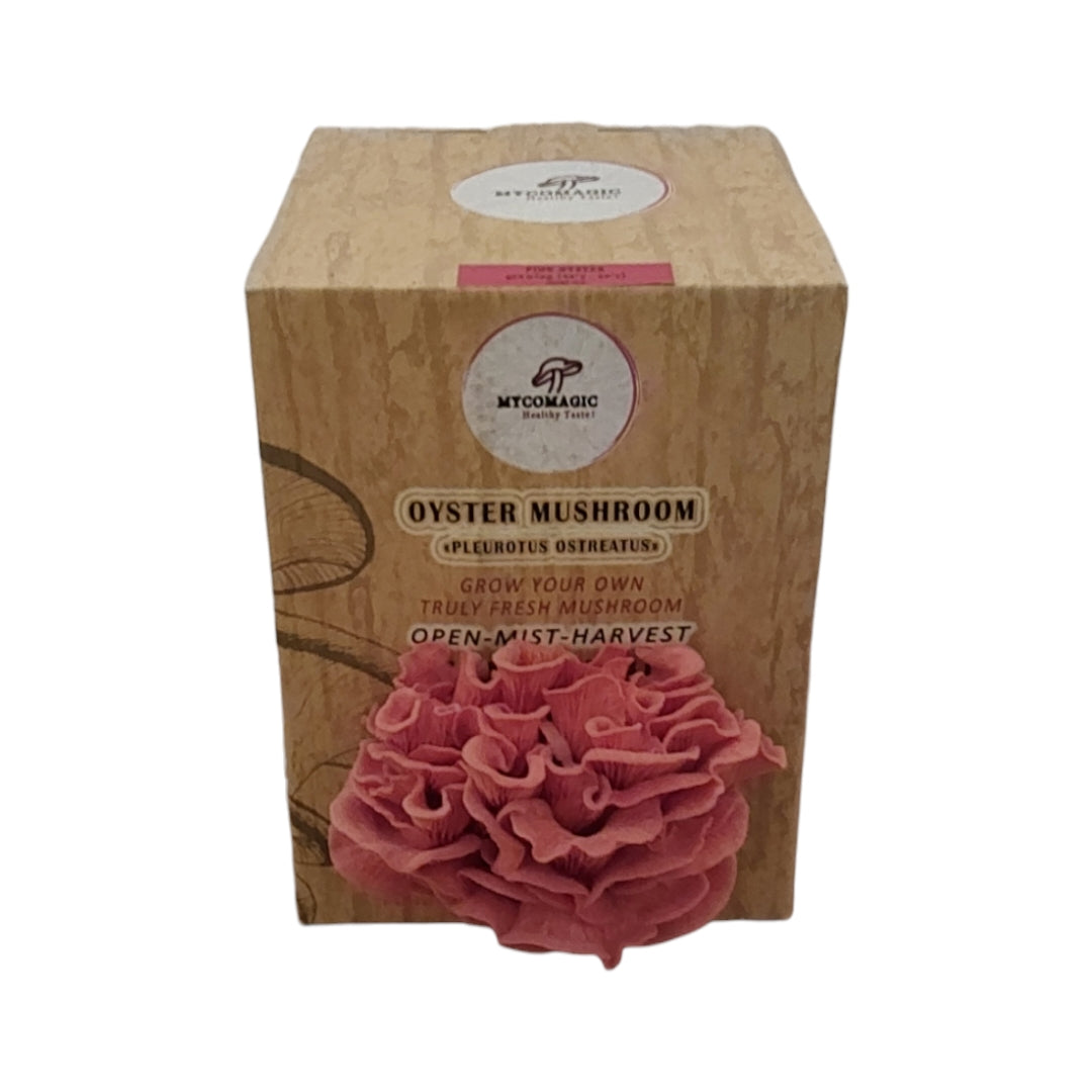Pink Oyster Mushroom Grow Kit