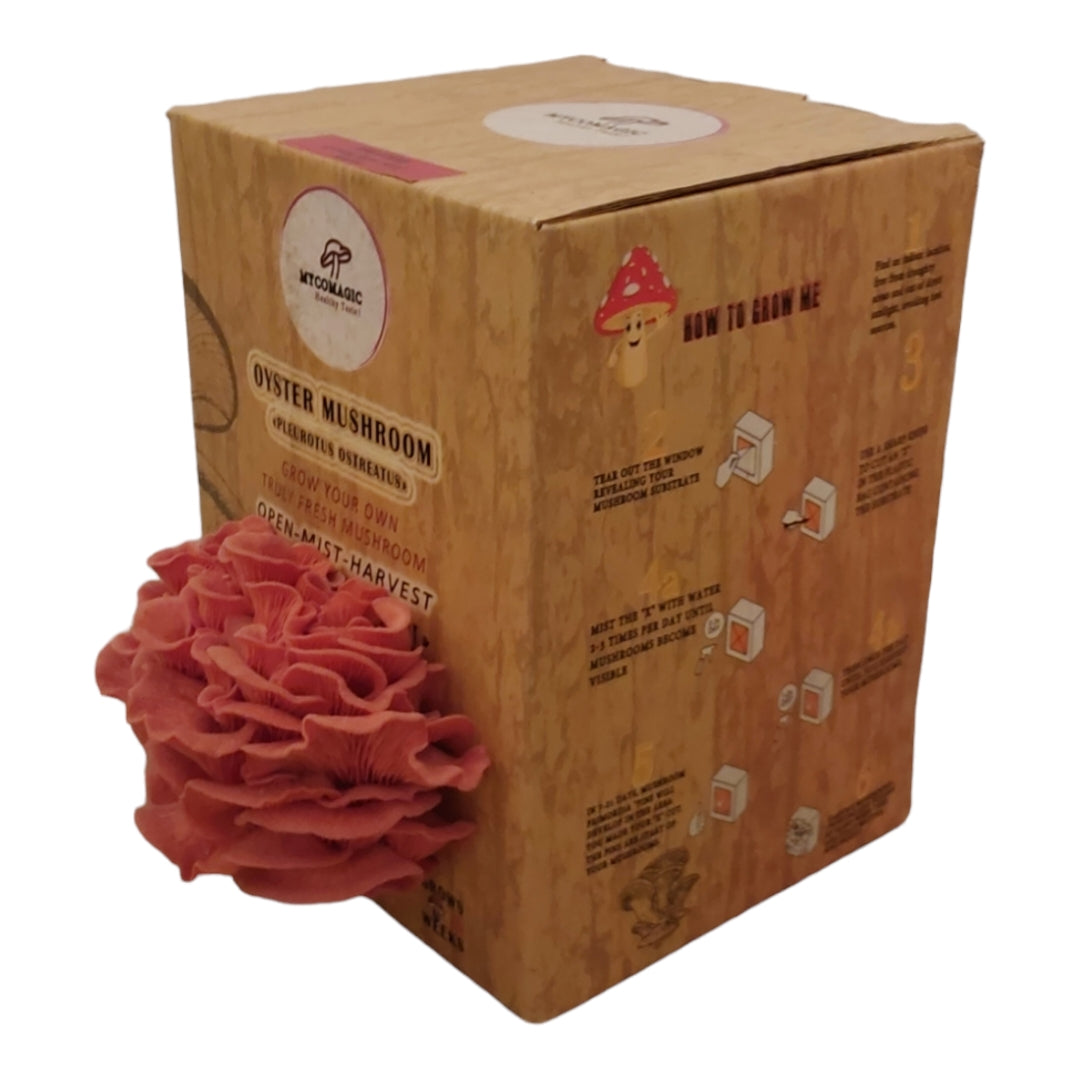 Pink Oyster Mushroom Grow Kit
