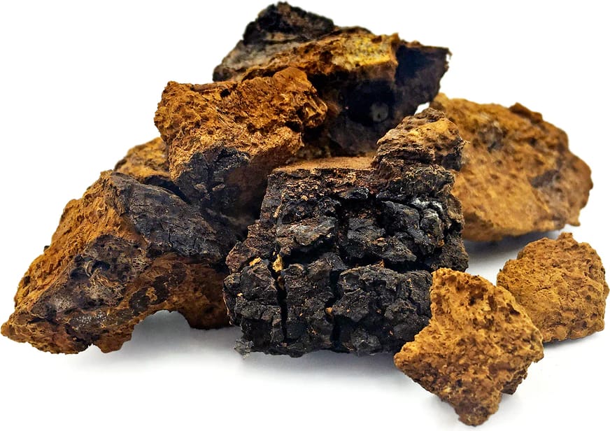 Chaga