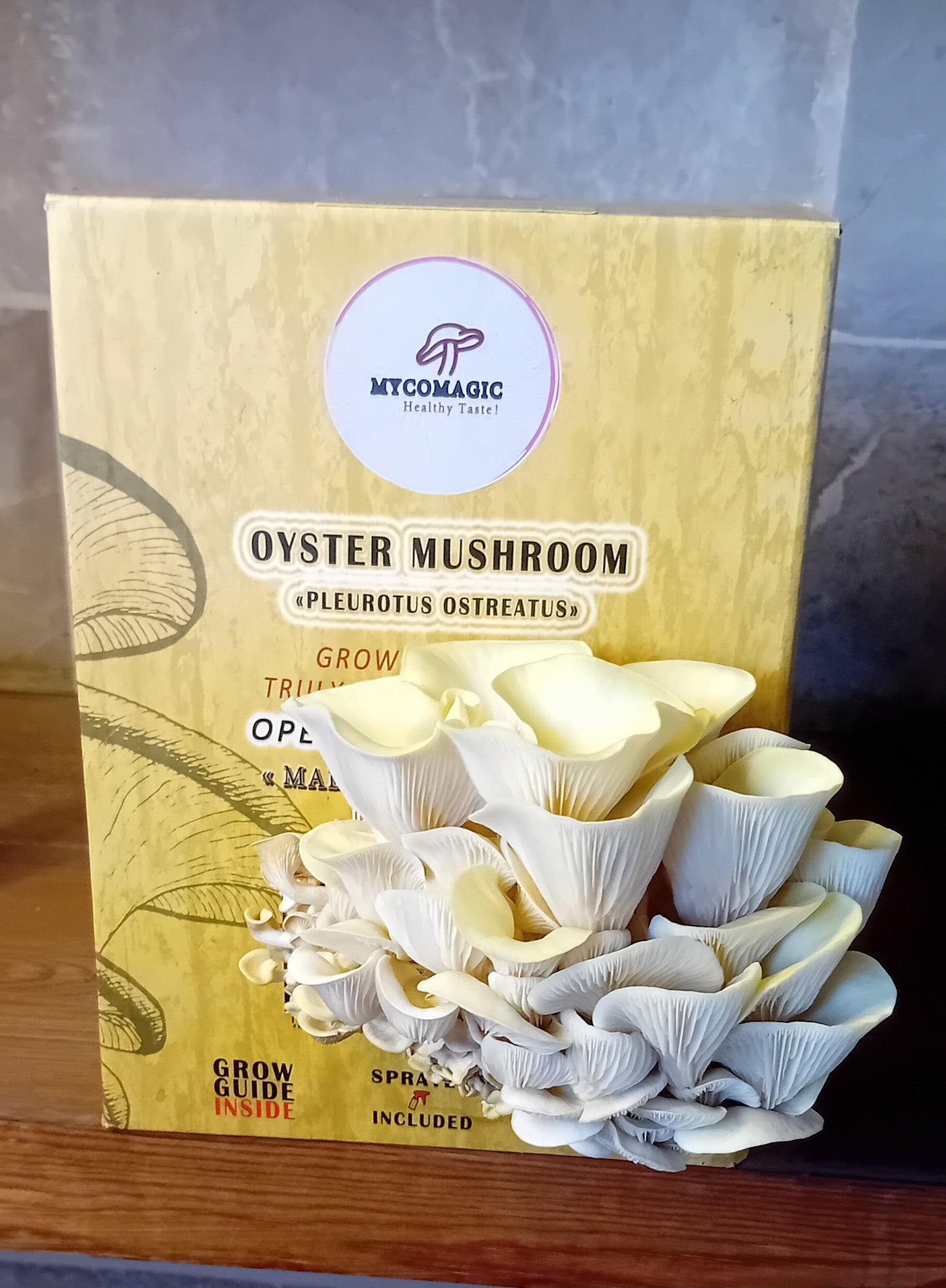 Yellow Oyster Mushroom Grow Kit