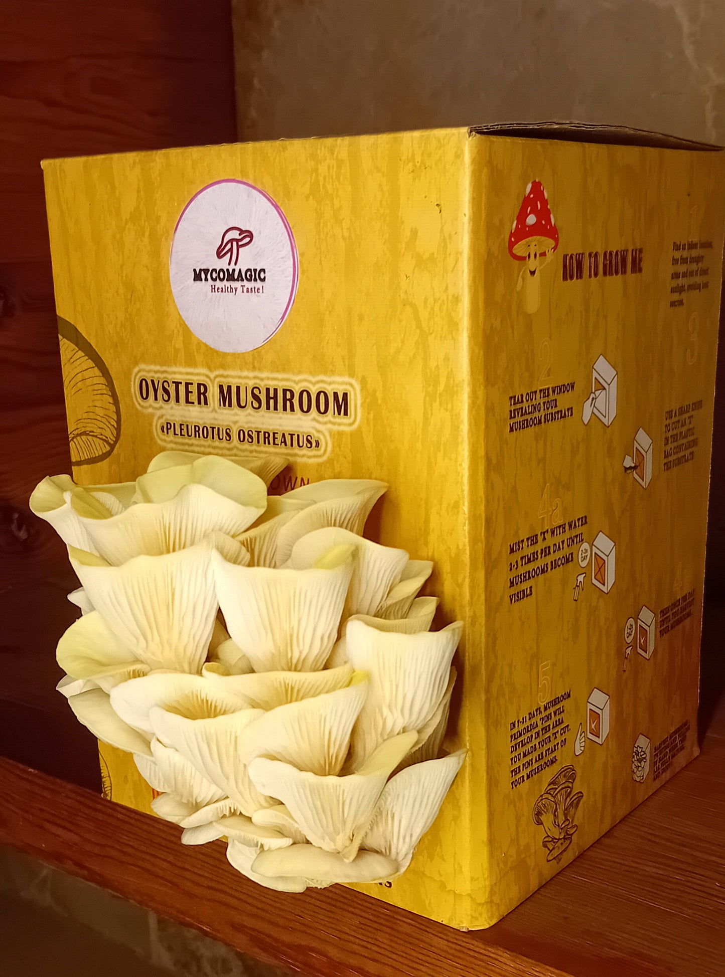 Yellow Oyster Mushroom Grow Kit